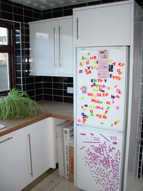 Kitchen/fridge